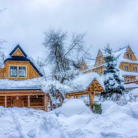 Goralski W Ogrodzie Przy Stoku Narciarskim Ciche Małe